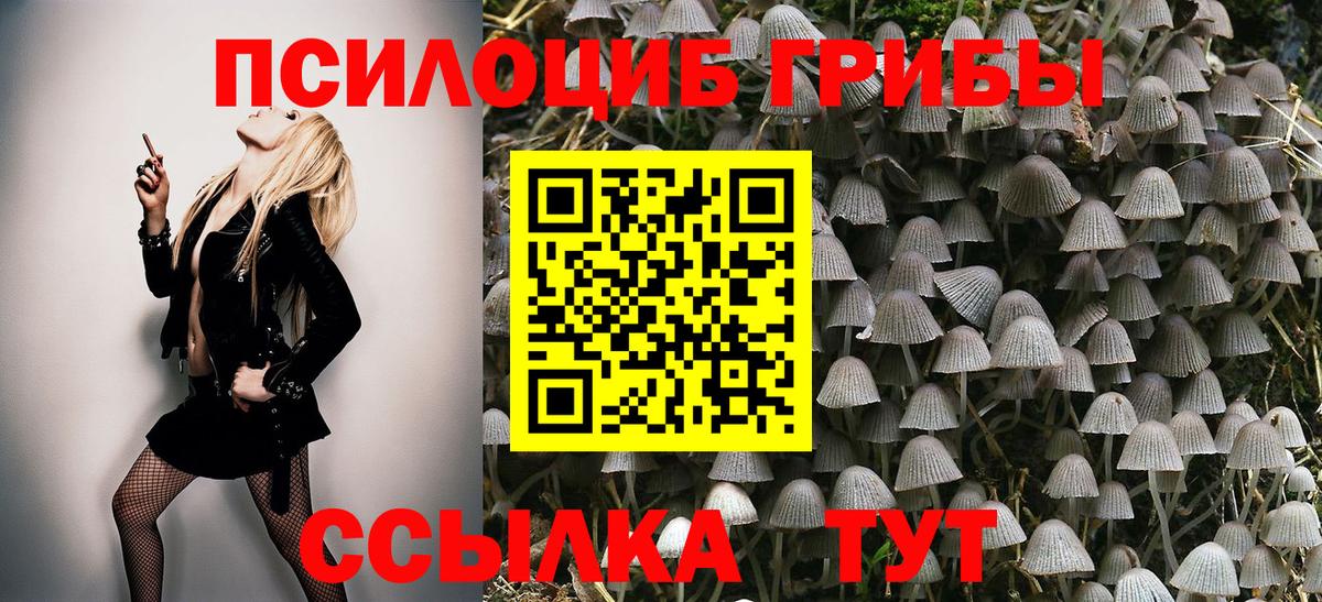 Псилоцибиновые грибы ЛСД Новотроицк